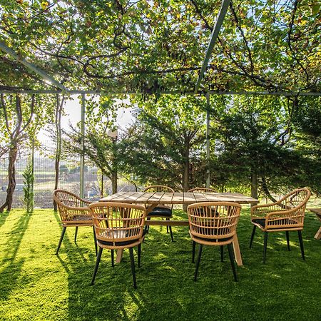 Chamomile Apartment Oinofyta Екстер'єр фото