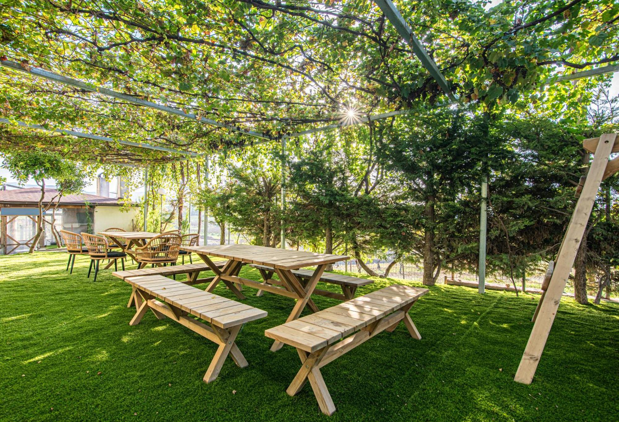 Chamomile Apartment Oinofyta Екстер'єр фото